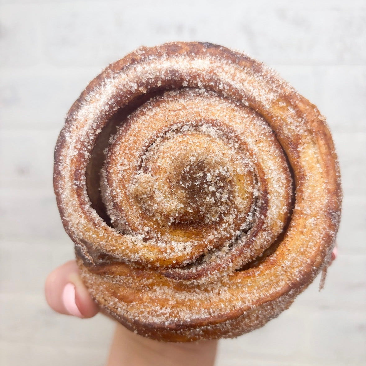 Morning Bun
