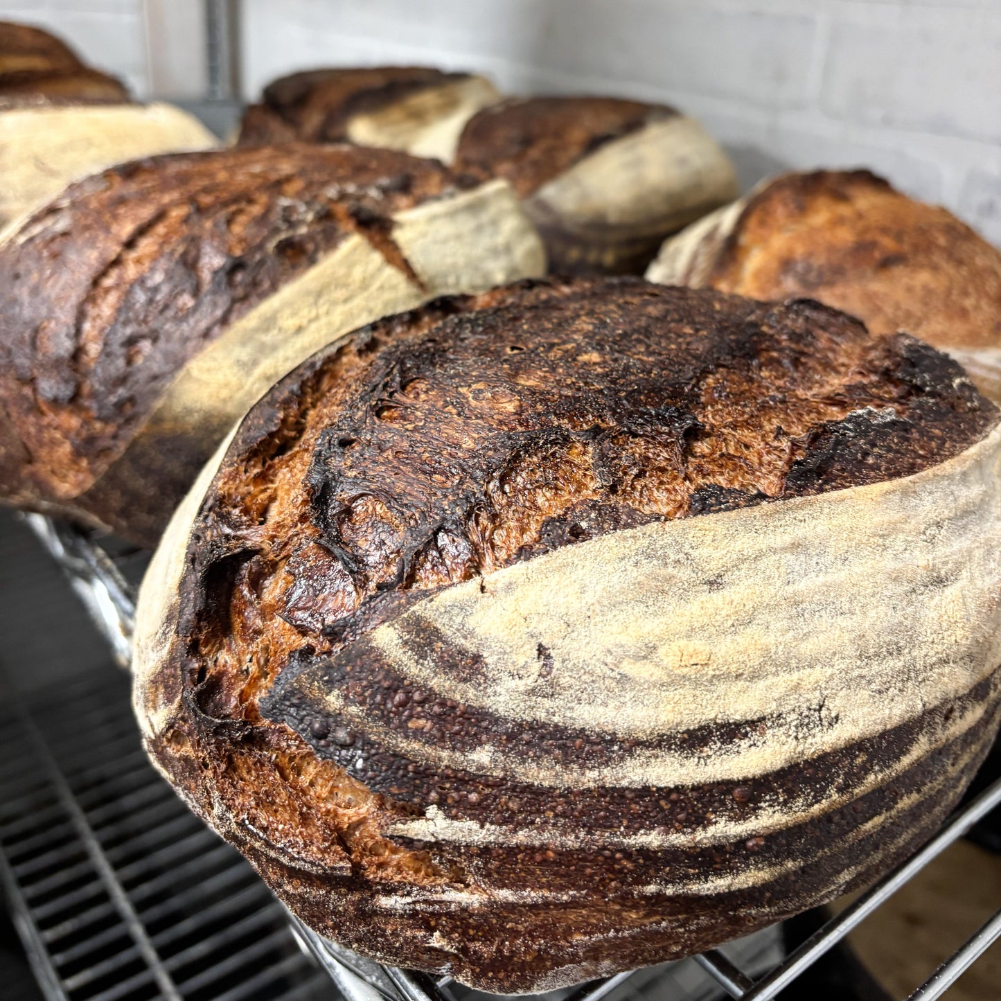 Pumpernickel Rye Sourdough
