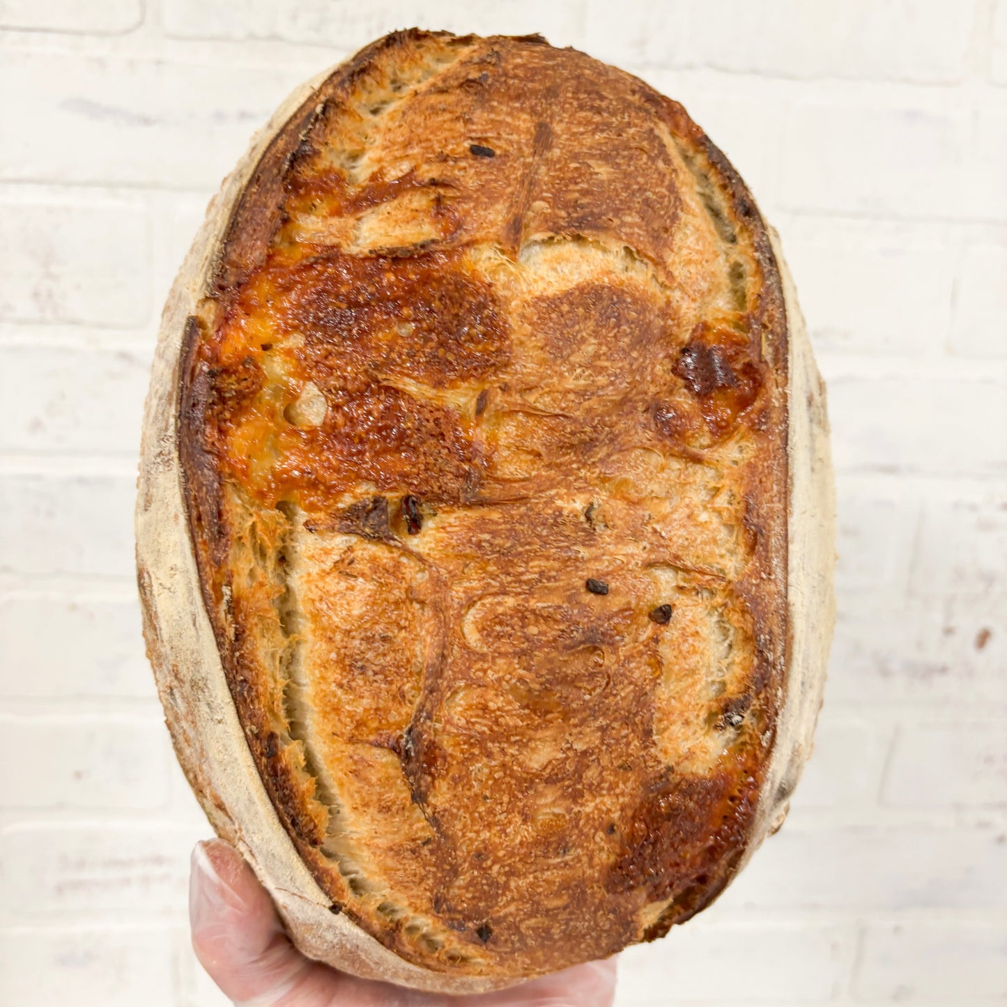Asiago & Herb Sourdough