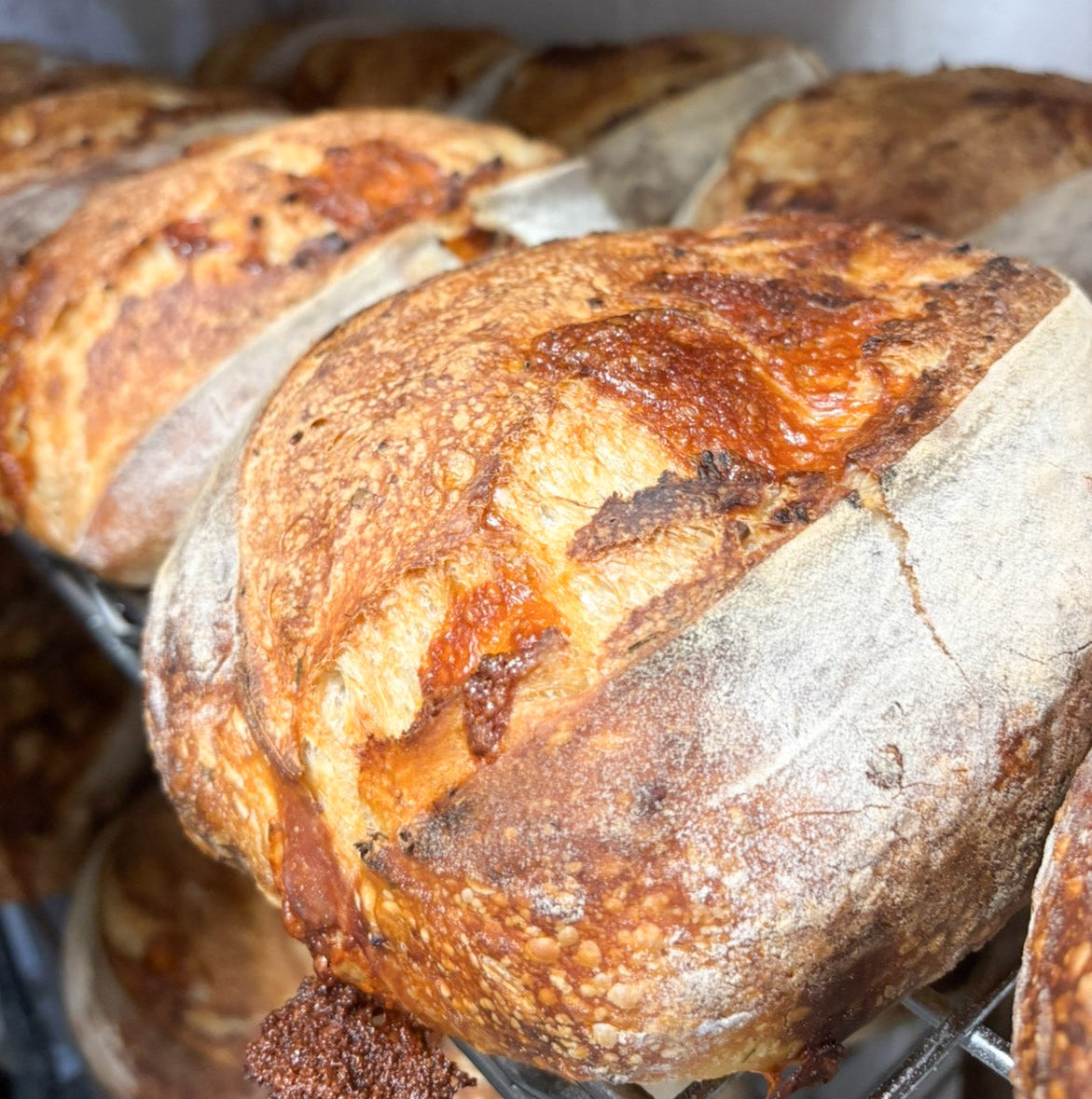 Smoked Cheddar & Chive Sourdough
