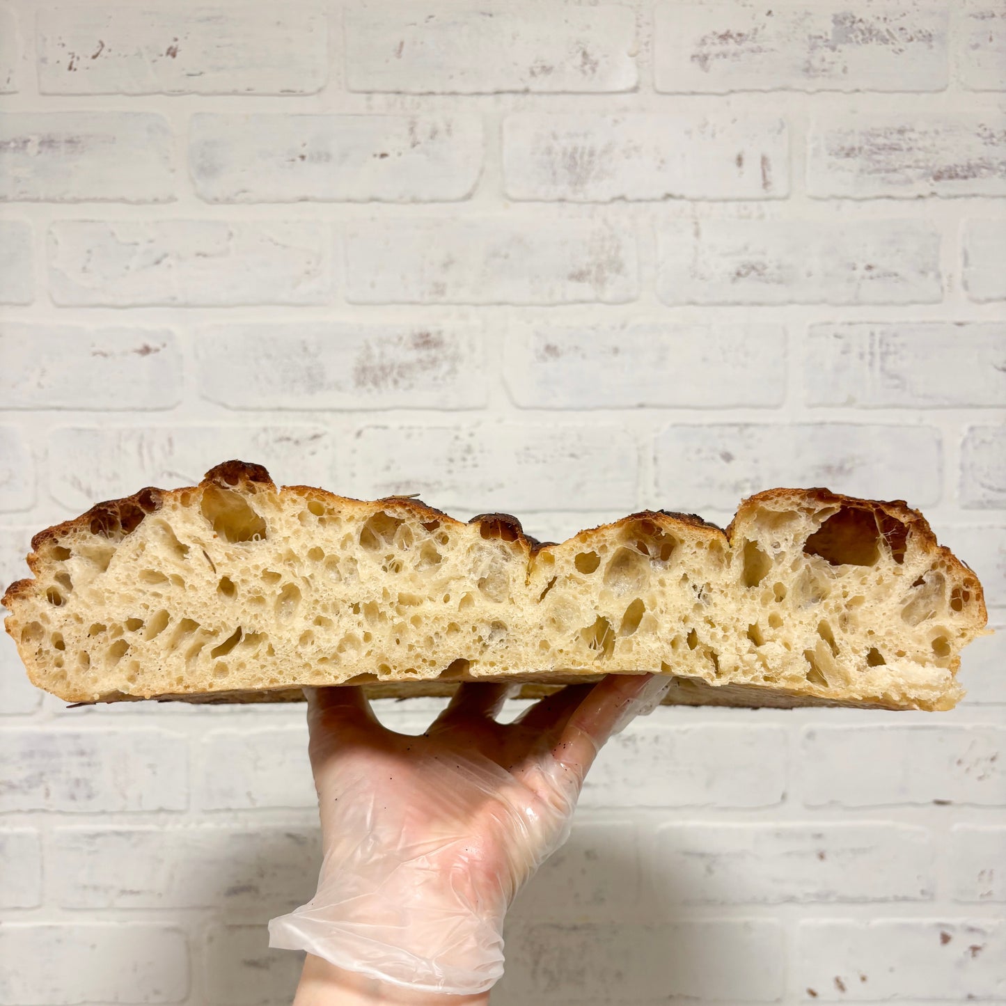 Freshly Frozen - Everything Bagel Focaccia