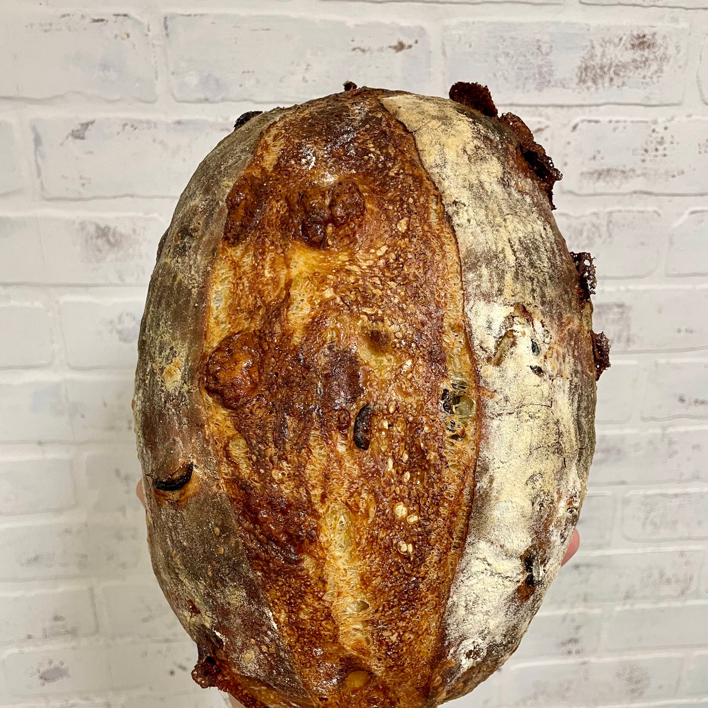 Jalapeño Cheddar Sourdough