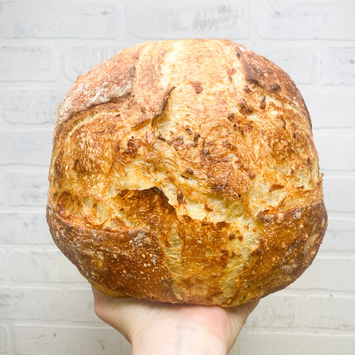 Asiago Herb Sourdough