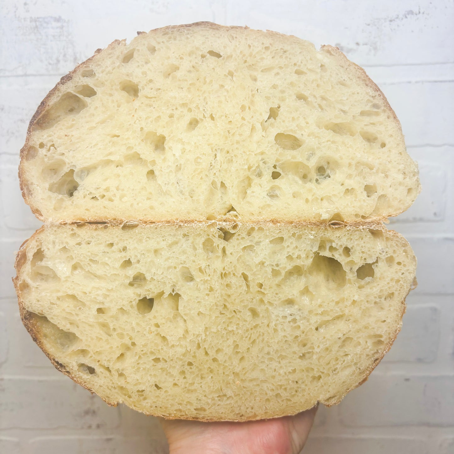 SAN FRANCISCO SOURDOUGH